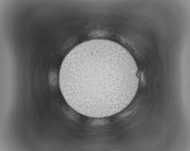 X0000108481203200905151216