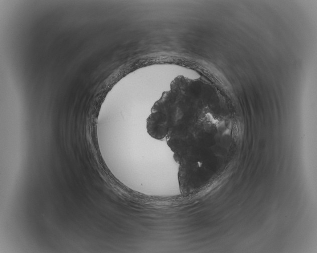 X0000108481204200905151216