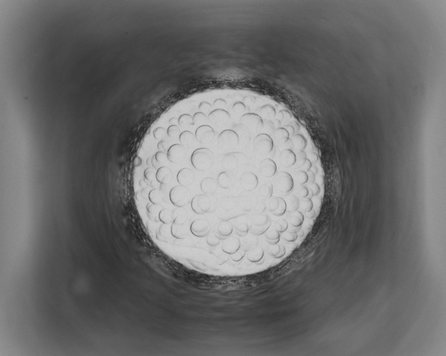 X0000108481205200905151216