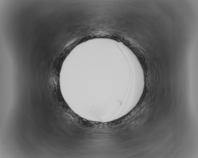 X0000108481206200905151216