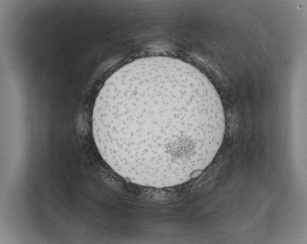 X0000108481207200905151216