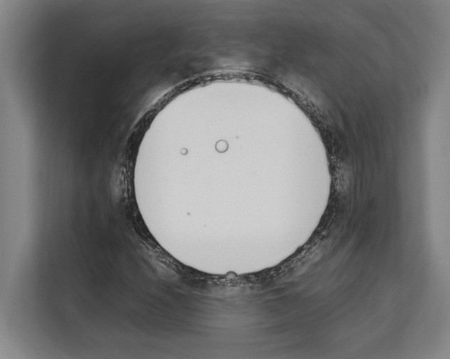 X0000108481208200905151216