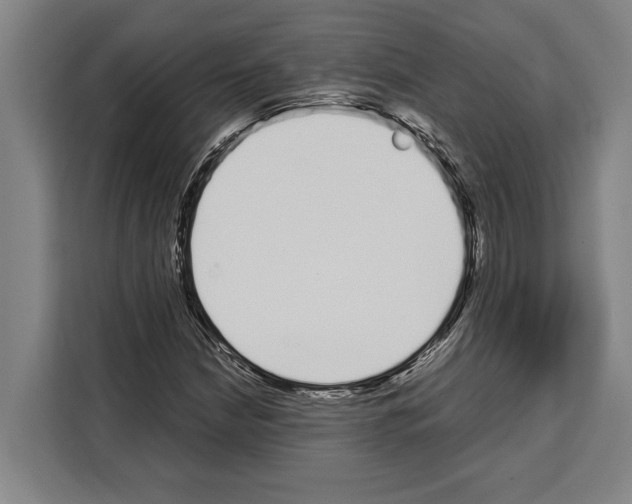 X0000108481210200905151216