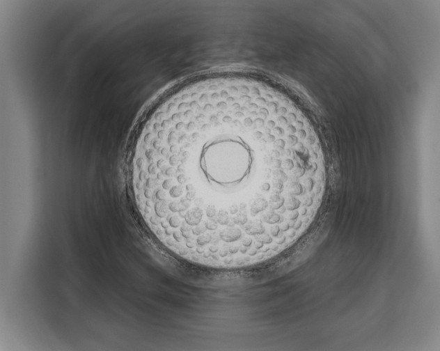 X0000108481212200905151216