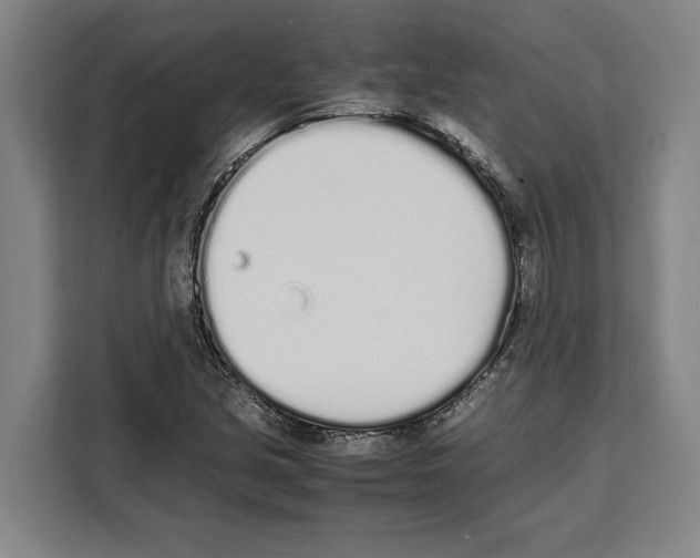 X0000108481213200905151216