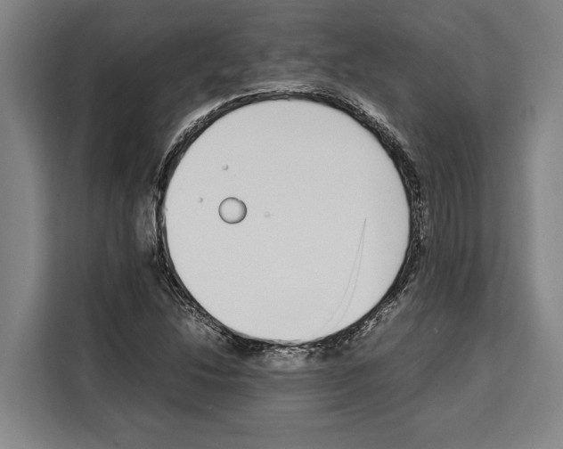 X0000108481214200905151216