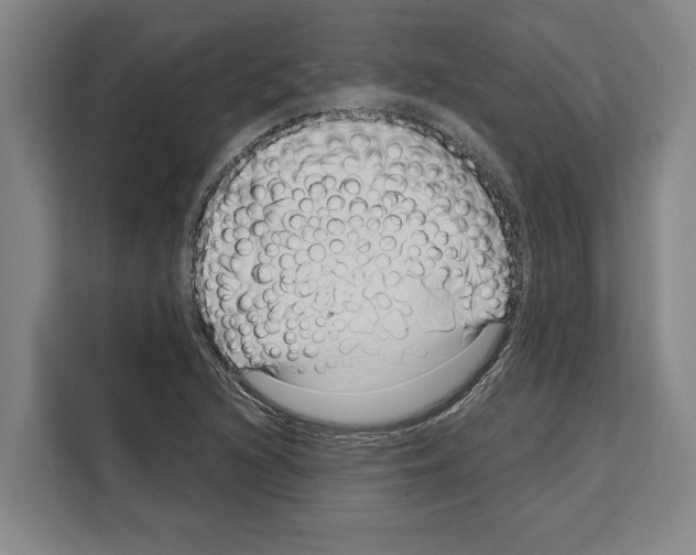 X0000108481216200905151216