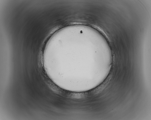 X0000108481219200905151216