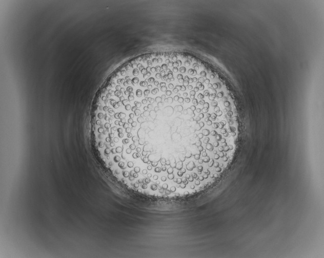 X0000108481220200905151216