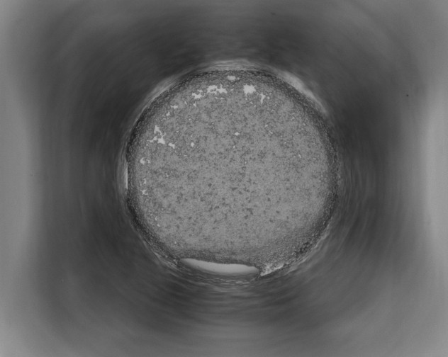 X0000108481221200905151216