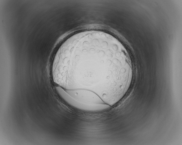 X0000108481222200905151216