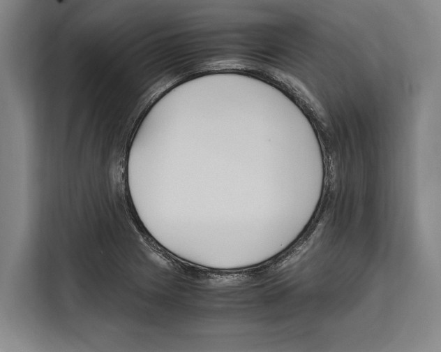 X0000108481225200905151216