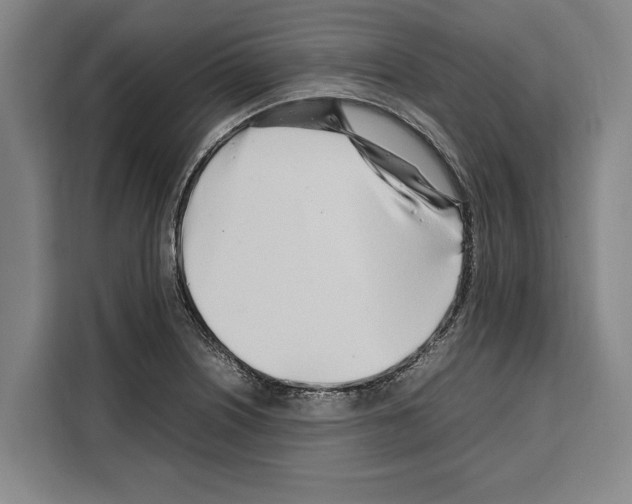 X0000108481226200905151216