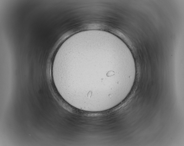 X0000108481227200905151216