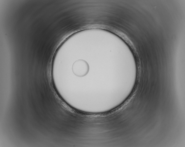 X0000108481228200905151216