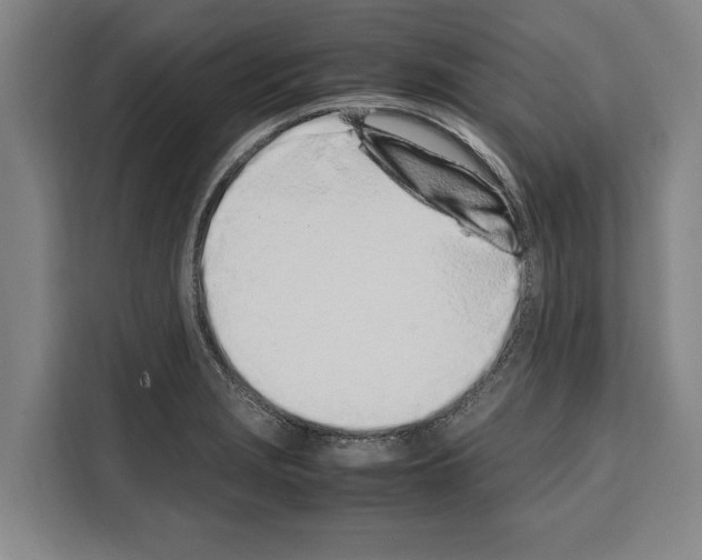 X0000108481229200905151216