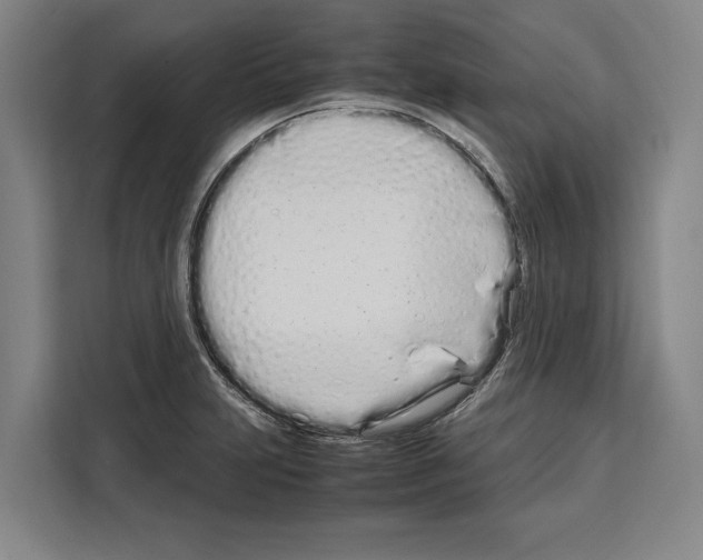 X0000108481231200905151216