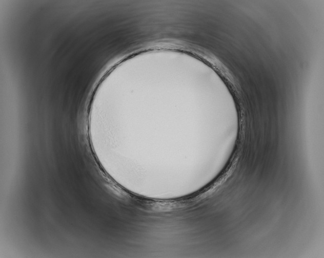 X0000108481232200905151216