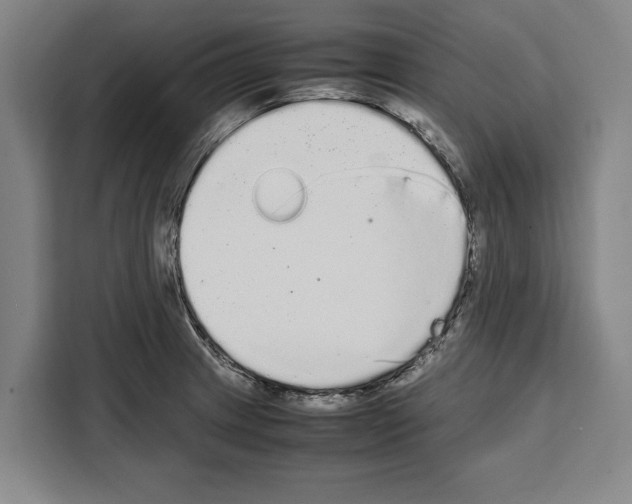 X0000108481233200905151216