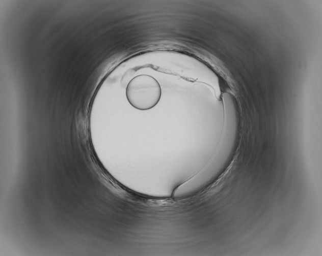 X0000108481234200905151216