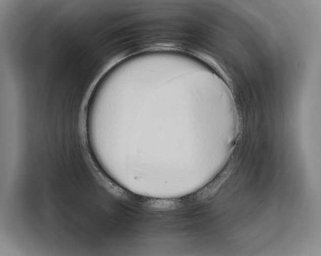 X0000108481235200905151216