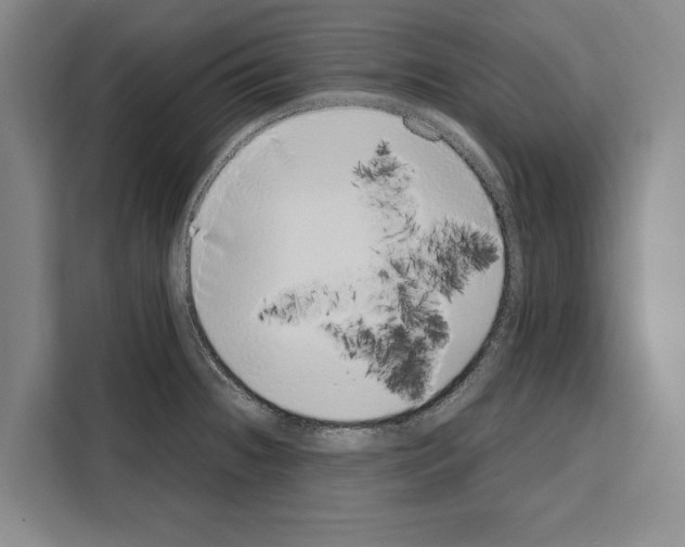 X0000108481236200905151216