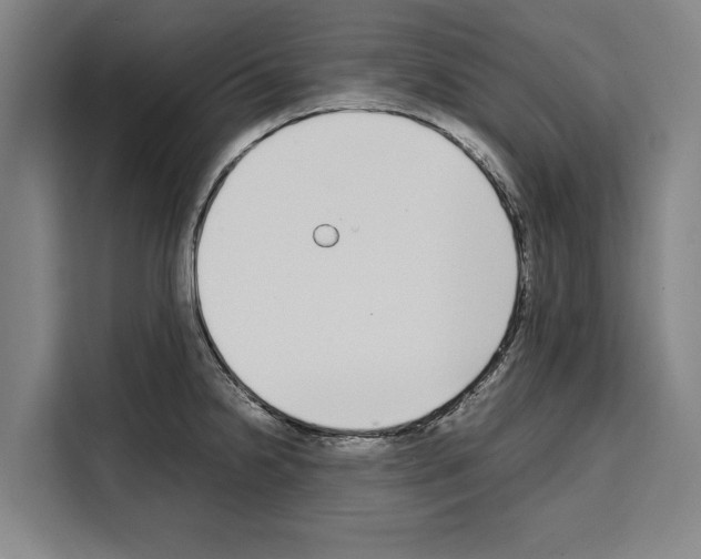 X0000108481238200905151216