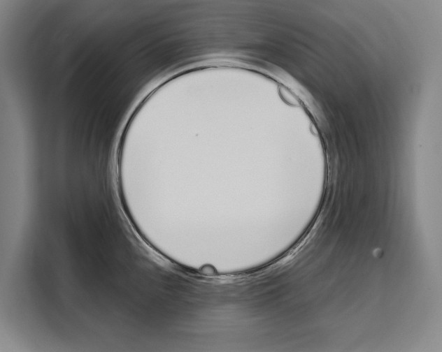 X0000108481240200905151216
