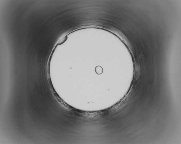 X0000108481242200905151216