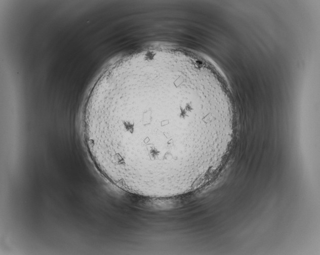 X0000108481243200905151216