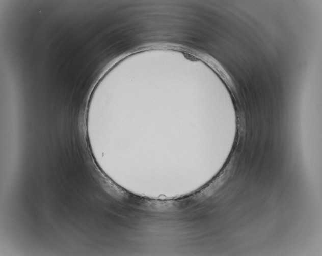 X0000108481244200905151216