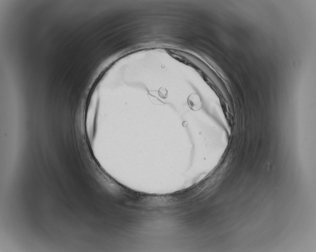 X0000108481246200905151216