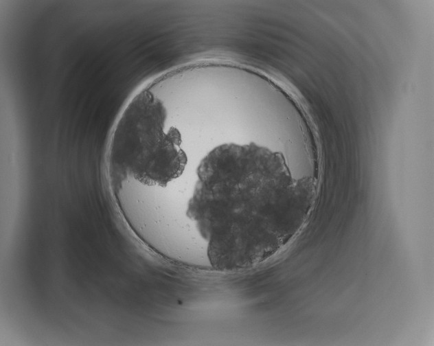 X0000108481248200905151216