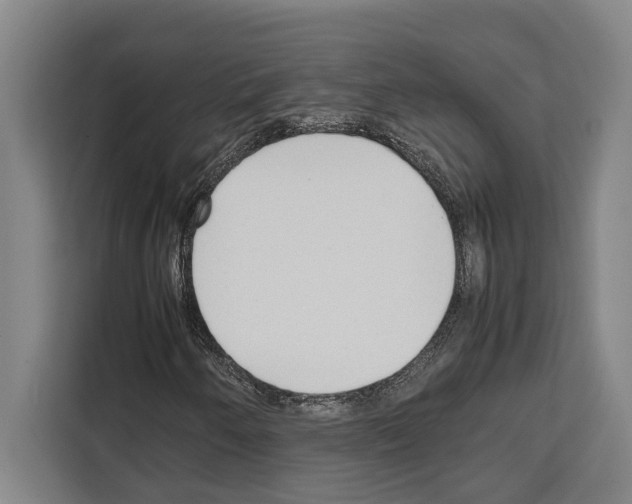 X0000108481250200905151216