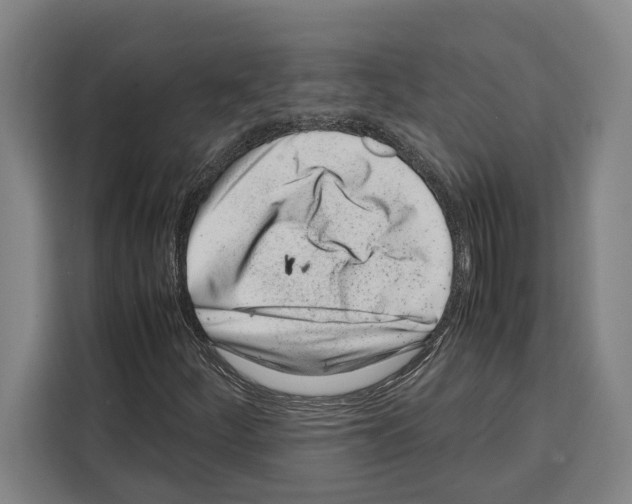 X0000108481252200905151216