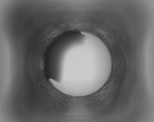 X0000108481253200905151216