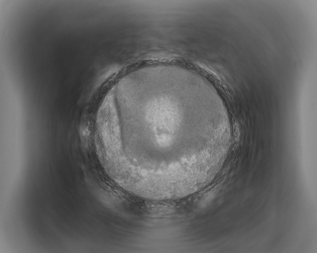 X0000108481254200905151216
