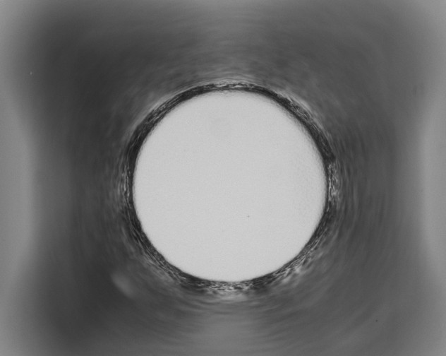 X0000108481255200905151216
