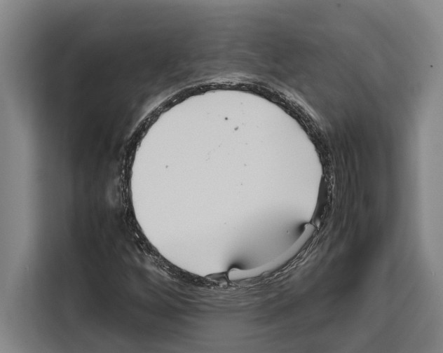 X0000108481256200905151216