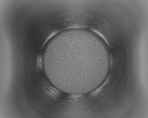 X0000108481258200905151216