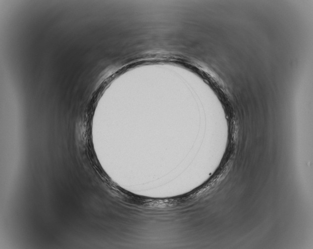 X0000108481259200905151216
