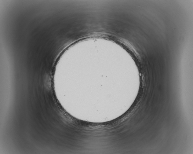 X0000108481260200905151216