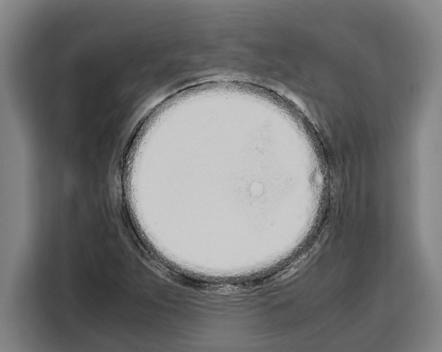 X0000108481263200905151216