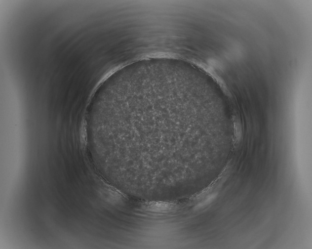 X0000108481266200905151216