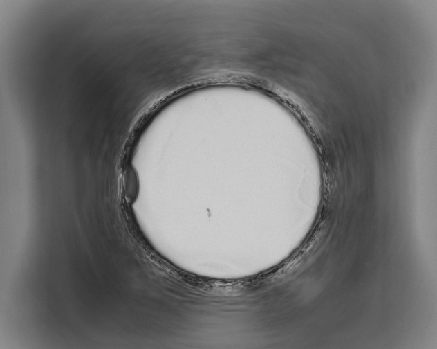 X0000108481267200905151216