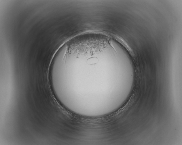 X0000108481268200905151216