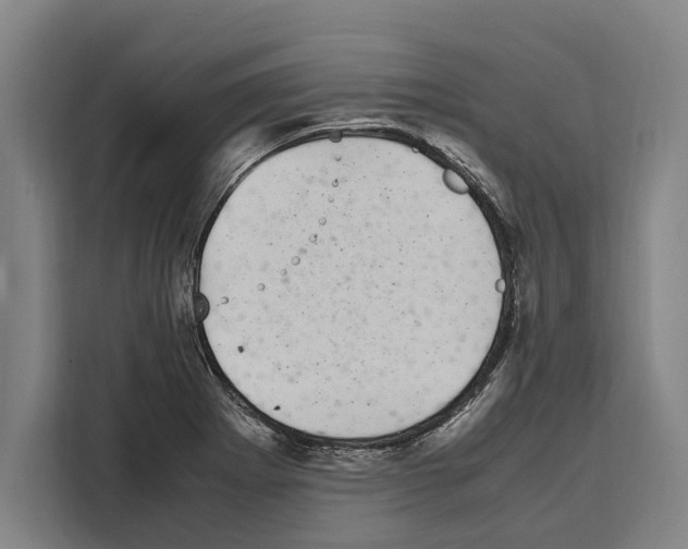 X0000108481273200905151215