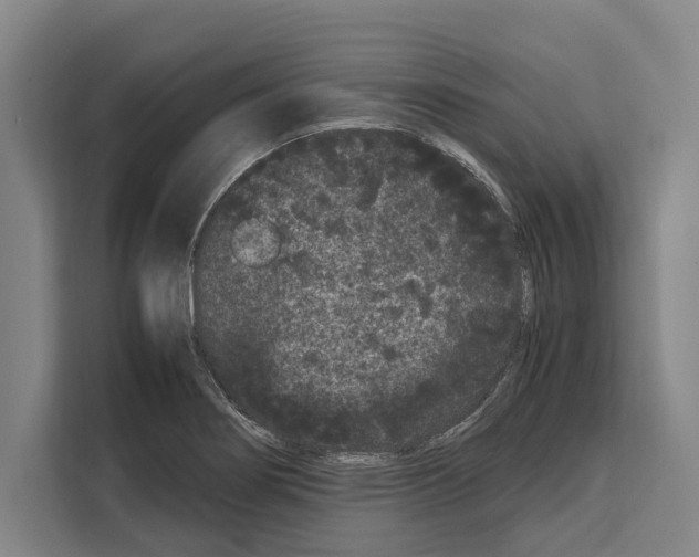 X0000108481274200905151215