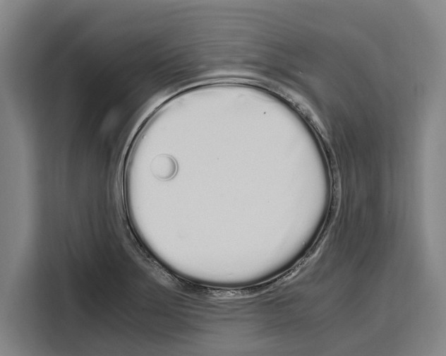 X0000108481275200905151215