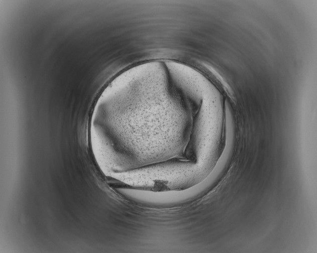 X0000108481276200905151215